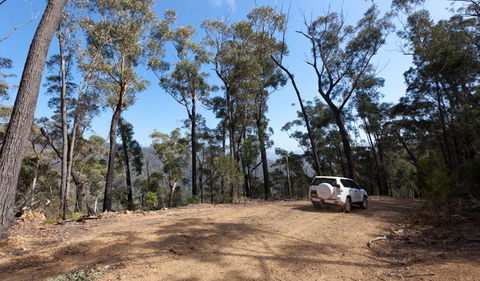 Wadbilliga Road Drive - Great Ocean Road Tourism 0