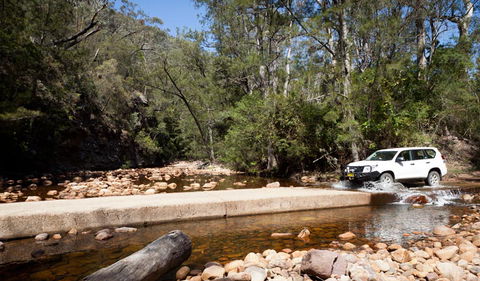 Wadbilliga Road Drive - Great Ocean Road Tourism 2