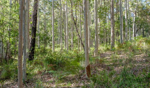 Corramy Regional Park - Great Ocean Road Tourism 1