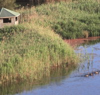 Spring Creek Bird Hide - Great Ocean Road Tourism