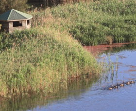 Spring Creek Bird Hide - Great Ocean Road Tourism 0