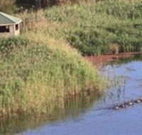 Spring Creek Wetlands Walk - Great Ocean Road Tourism