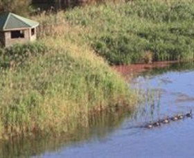 Spring Creek Wetlands Walk - Great Ocean Road Tourism 0