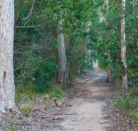 Delta track - Great Ocean Road Tourism