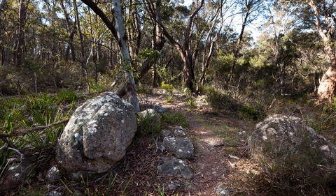 Wadbilliga National Park - Great Ocean Road Tourism 2