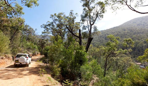 Wadbilliga National Park - Great Ocean Road Tourism 3