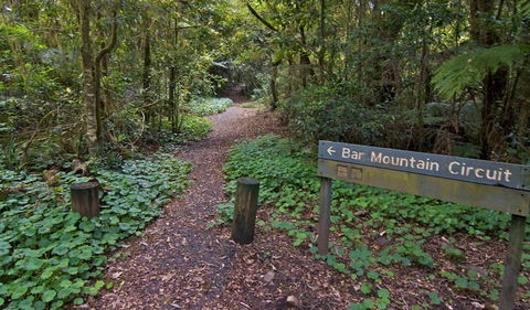 Bar Mountain Circuit - Great Ocean Road Tourism 0