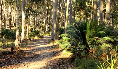 Square Head Track 2 - Great Ocean Road Tourism 0