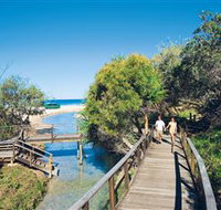 Eli Creek - Great Ocean Road Tourism