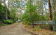 Depot Beach Rainforest Walk - thumb 1