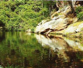 Numinbah Valley Adventure Trails - Great Ocean Road Tourism 1