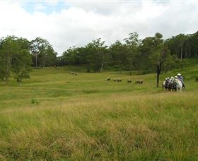 Numinbah Valley Adventure Trails - Great Ocean Road Tourism 0