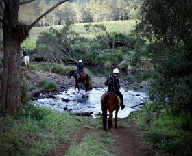 Numinbah Valley Adventure Trails - Great Ocean Road Tourism 3