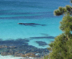Jervis Bay Marine Park - Great Ocean Road Tourism 0