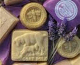 Great Ocean Road Tourism