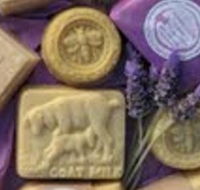 Honeycomb Valley Farm - Great Ocean Road Tourism