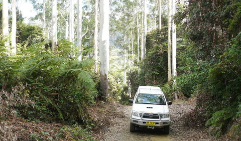 Bindarri National Park - Great Ocean Road Tourism 2