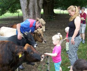 Crystal Creek Miniatures - Great Ocean Road Tourism 0