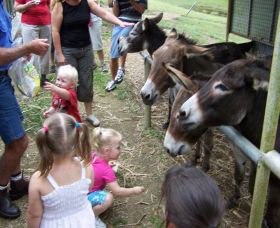 Crystal Creek Miniatures - Great Ocean Road Tourism 1