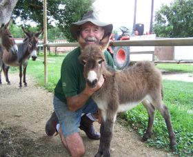 Crystal Creek Miniatures - Great Ocean Road Tourism 2