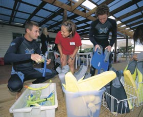 Dolphin Discovery Centre - Great Ocean Road Tourism 1