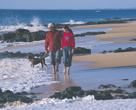 Back Beach - Great Ocean Road Tourism 0