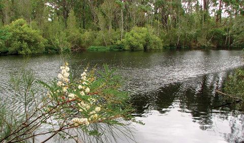 Wallingat National Park - Great Ocean Road Tourism 0