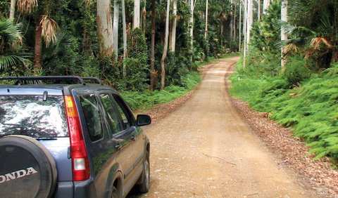 Wallingat National Park - Great Ocean Road Tourism 2