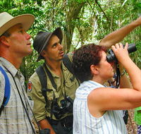 Falls walking track - Great Ocean Road Tourism