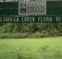 Woolgoolga Creek Flora Reserve - Great Ocean Road Tourism