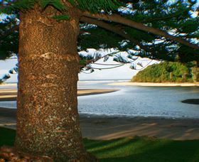 Moonee Beach - Great Ocean Road Tourism 1