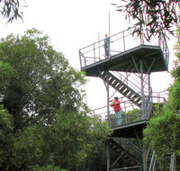 Cape Hawke lookout - Great Ocean Road Tourism