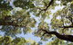 Coffs Coast Regional Park - thumb 2