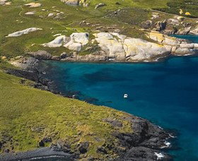 Montague Island Nature Reserve - Great Ocean Road Tourism 1