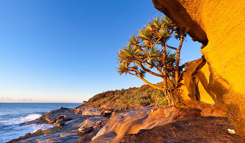 Angourie To Brooms Head - Great Ocean Road Tourism 1