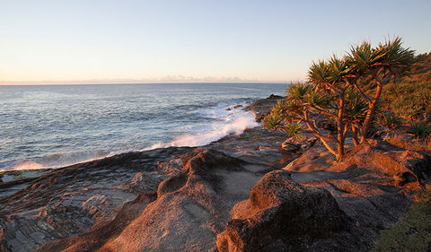 Angourie To Brooms Head - Great Ocean Road Tourism 2