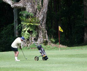 Teven Valley Golf Course - Great Ocean Road Tourism 0