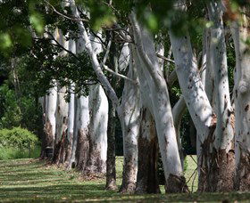 Teven Valley Golf Course - Great Ocean Road Tourism 1