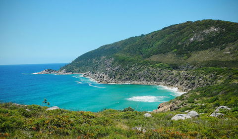 Arakoon National Park - Great Ocean Road Tourism 0