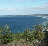 Delicate Beach - Great Ocean Road Tourism