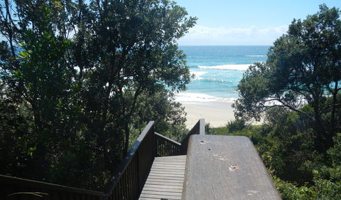 Jack Perkins Walking Track - Great Ocean Road Tourism 2