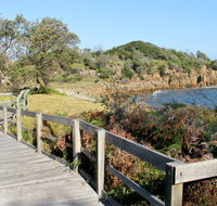 Mimosa Rocks walking track - Great Ocean Road Tourism