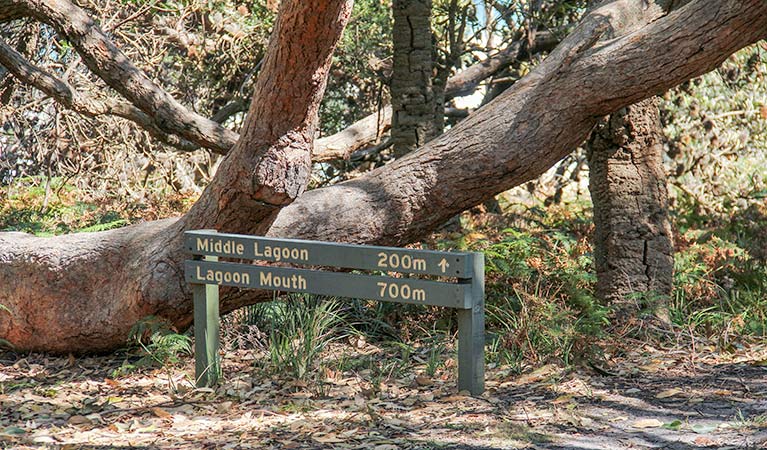 Pericoe NSW Great Ocean Road Tourism