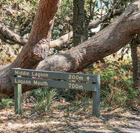 Middle Lagoon walking track - Great Ocean Road Tourism