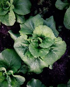 Yoga Retreat - Great Ocean Road Tourism 5