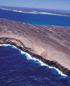 Zuytdorp Cliffs - Great Ocean Road Tourism 1