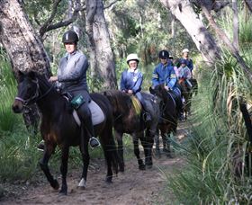 Mirravale Horse Riding School - Great Ocean Road Tourism 0