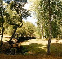 Oldina Picnic Area - Great Ocean Road Tourism