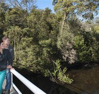 Hellyer Gorge - Great Ocean Road Tourism