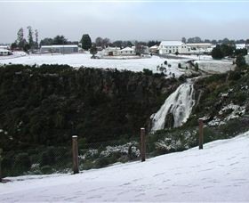 Waratah Falls - Great Ocean Road Tourism 1